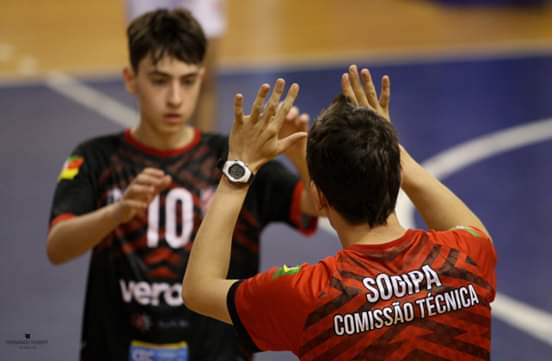 Voleibol
