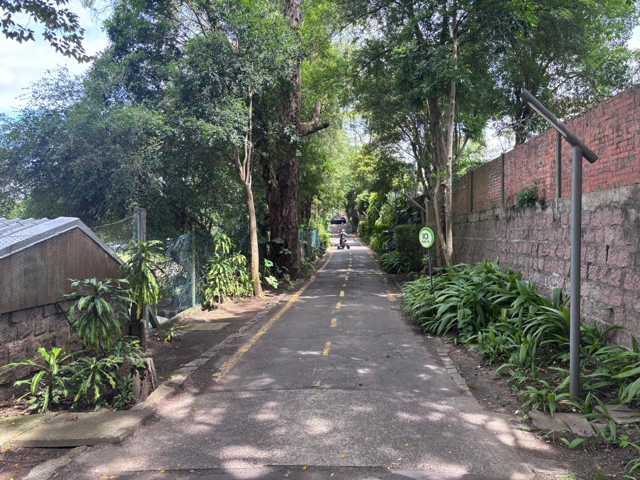 Sogipa realiza obras de melhoria no acesso � �rea ajardinada. Acesso de ve�culos � bloqueado