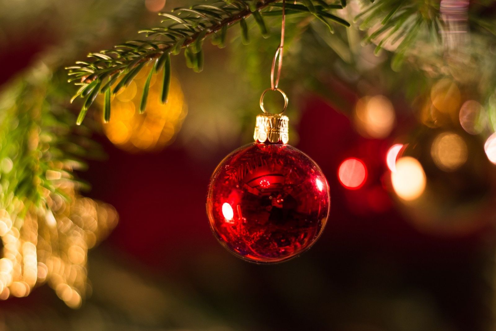 Natal Iluminado
