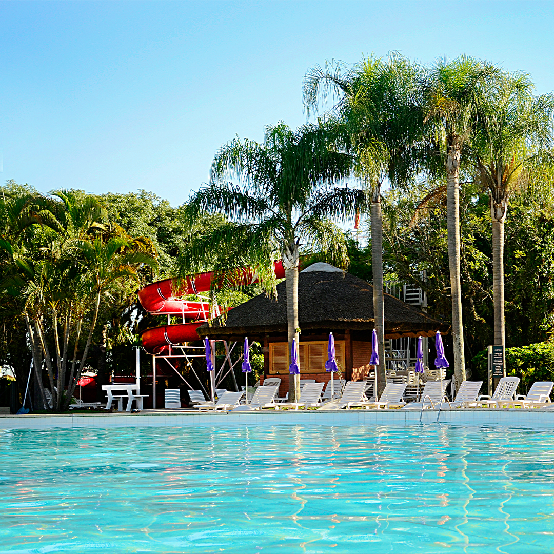 Sogipa: Piscinas da Sogipa estão prontas para o verão. Nos próximos dias,  clube anunciará programa de atividades que ocorrerão nos próximos meses