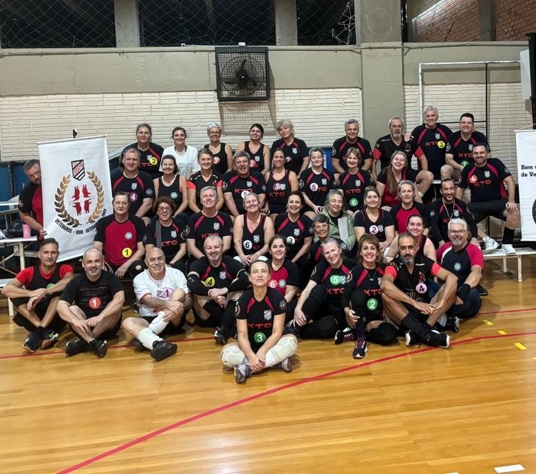  Liga Mista de Voleibol